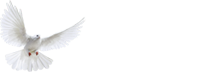 ForeverMemory