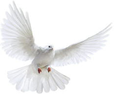 ForeverMemory